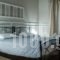 Vassilis Studios_best prices_in_Hotel_Central Greece_Evia_Neos Pyrgos