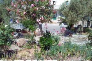 Anessis Studios_best prices_in_Hotel_Aegean Islands_Lesvos_Kalloni