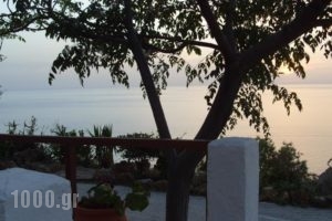 Orthostates Studios_holidays_in_Hotel_Aegean Islands_Samos_Samosst Areas