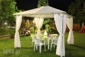 Archontiko Driani_holidays_in_Hotel_Macedonia_Pieria_Dion