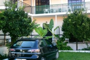 Georgina Apartments_best prices_in_Apartment_Ionian Islands_Corfu_Corfu Rest Areas