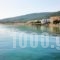 Nontas Hotel_lowest prices_in_Hotel_Piraeus islands - Trizonia_Aigina_Aigina Rest Areas