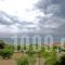 Siviri Rooms_best deals_Room_Macedonia_Halkidiki_Kassandreia