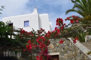 Tagoo Studios_holidays_in_Hotel_Cyclades Islands_Mykonos_Mykonos Chora