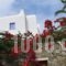 Tagoo Studios_holidays_in_Hotel_Cyclades Islands_Mykonos_Mykonos Chora