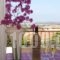 Aristotelis Apartments_accommodation_in_Apartment_Ionian Islands_Kefalonia_Kefalonia'st Areas