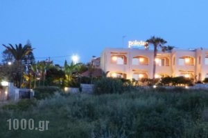 Poledas Apartments_best prices_in_Apartment_Crete_Chania_Vryses Apokoronas