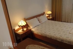 Antique The Hotel_lowest prices_in_Hotel_Macedonia_Pieria_Olympiaki Akti