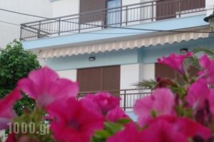 Antique The Hotel_accommodation_in_Hotel_Macedonia_Pieria_Olympiaki Akti