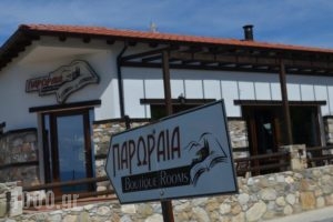 Paroraia_lowest prices_in_Hotel_Macedonia_Serres_Agistro