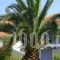 Villa Eliza_lowest prices_in_Villa_Ionian Islands_Kefalonia_Kefalonia'st Areas
