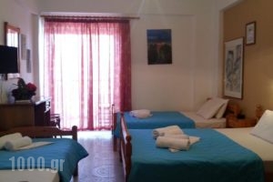 Sante_best prices_in_Hotel_Macedonia_Halkidiki_Kassandreia