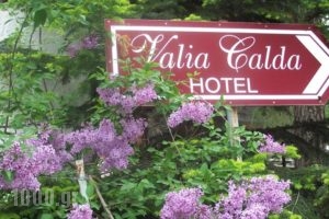 Valia Calda Hotel_best deals_Hotel_Macedonia_Grevena_Perivoli