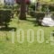 Brati - Arcoudi Hotel_best deals_Hotel_Peloponesse_Ilia_Arkoudi