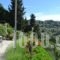 Skyfall Villa_best deals_Villa_Ionian Islands_Lefkada_Sivota