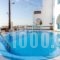 Ampelonas Apartments_travel_packages_in_Cyclades Islands_Sandorini_Fira