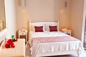 Vasiliki Studios_accommodation_in_Hotel_Cyclades Islands_Naxos_Naxos chora