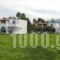 Hotel Tigaki's Star_best deals_Hotel_Dodekanessos Islands_Kos_Kos Rest Areas