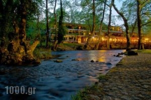 Hotel Vermion_accommodation_in_Hotel_Macedonia_Imathia_Naousa