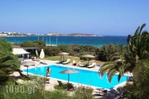 Kalimera Paros_lowest prices_in_Hotel_Cyclades Islands_Paros_Paros Chora