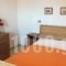 Eriketi Studios_lowest prices_in_Hotel_Piraeus Islands - Trizonia_Aigina_Agia Marina