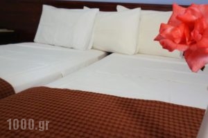 Hotel Lux_accommodation_in_Hotel_Central Greece_Fthiotida_Loutra Ypatis