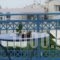 Very-Kokkos Pension 2_accommodation_in_Hotel_Cyclades Islands_Naxos_Naxos chora