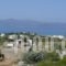 Villa Harmonia_best prices_in_Villa_Cyclades Islands_Naxos_Naxos Chora