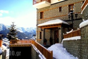 Archontiko Metsovou Luxury Boutique Hotel_travel_packages_in_Epirus_Ioannina_Metsovo