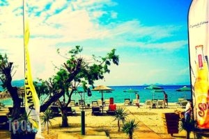 Akti Dimis Hotel_best deals_Hotel_Dodekanessos Islands_Kos_Kos Rest Areas