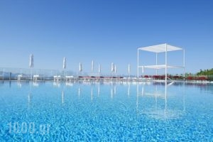 Dimitra Beach Resort_holidays_in_Hotel_Dodekanessos Islands_Kos_Kos Rest Areas