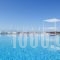 Dimitra Beach Resort_holidays_in_Hotel_Dodekanessos Islands_Kos_Kos Rest Areas