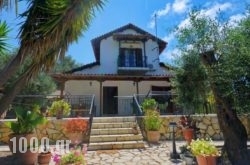 Agrielia in Aigina Rest Areas, Aigina, Piraeus Islands - Trizonia