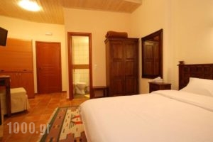 Hotel Parnassos_holidays_in_Hotel_Central Greece_Fokida_Delfi