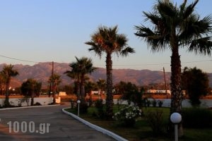 Anthia Apartments_holidays_in_Apartment_Dodekanessos Islands_Kos_Marmari