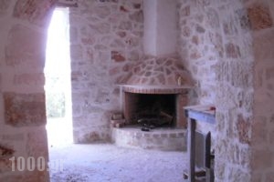 Climati Studios_holidays_in_Hotel_Ionian Islands_Zakinthos_Zakinthos Rest Areas