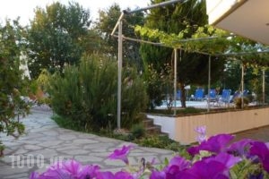 Villa Thassos Paradise_lowest prices_in_Villa_Aegean Islands_Thasos_Thasos Chora