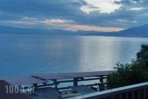 Castella Beach_best deals_Hotel_Peloponesse_Ilia_Lechena