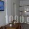 Loginos Studios_best deals_Hotel_Macedonia_Halkidiki_Kassandreia