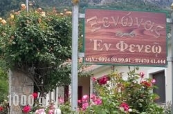 En Feneo in  Laganas, Zakinthos, Ionian Islands