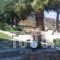 Asteras Apartments_best deals_Apartment_Crete_Lasithi_Sitia