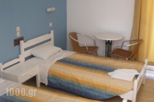 Alexandra Rooms_best deals_Room_Crete_Heraklion_Malia