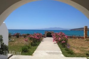 Ammoudia Studios_best deals_Hotel_Cyclades Islands_Ios_Ios Chora