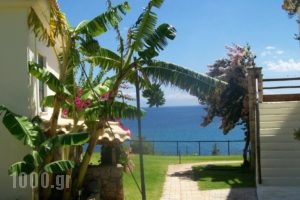 Panorama Beach_best prices_in_Hotel_Thessaly_Magnesia_Pilio Area