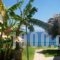 Panorama Beach_best prices_in_Hotel_Thessaly_Magnesia_Pilio Area