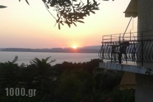 Raymondos Apartments_accommodation_in_Apartment_Ionian Islands_Kefalonia_Argostoli