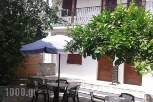 Pension Nikolas_accommodation_in_Hotel_Sporades Islands_Skiathos_Skiathos Chora