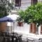 Pension Nikolas_accommodation_in_Hotel_Sporades Islands_Skiathos_Skiathos Chora