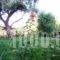 Theodora Studios_best deals_Hotel_Ionian Islands_Corfu_Moraitika