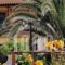 Irini Hotel_best deals_Hotel_Aegean Islands_Lesvos_Vatera